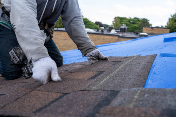 Professional Roofing Contractor in Mountainair, NM